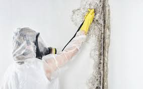 Best Residential Mold Inspection & Testing  in Corinth, TX